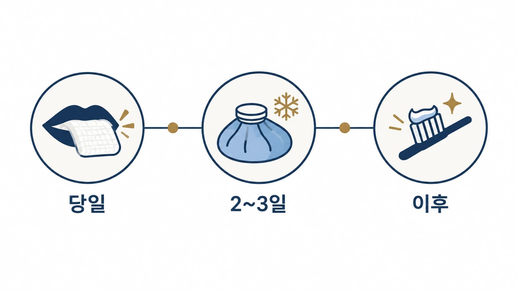 발치 당일, 2~3일, 이후로 이어지는 회복 단계를 간단히 보여주는 타임라인